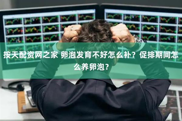 按天配资网之家 卵泡发育不好怎么补？促排期间怎么养卵泡？